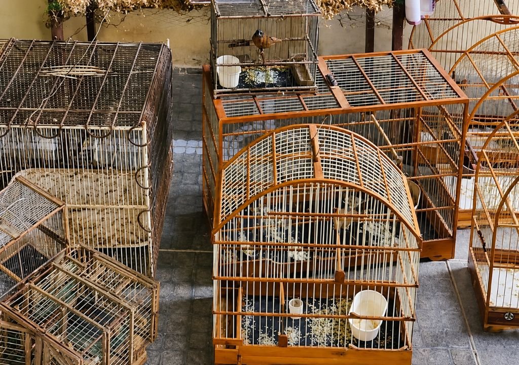 Agentes da Polícia Federal durante operação que investiga caça ilegal de animais silvestres em Canindé.