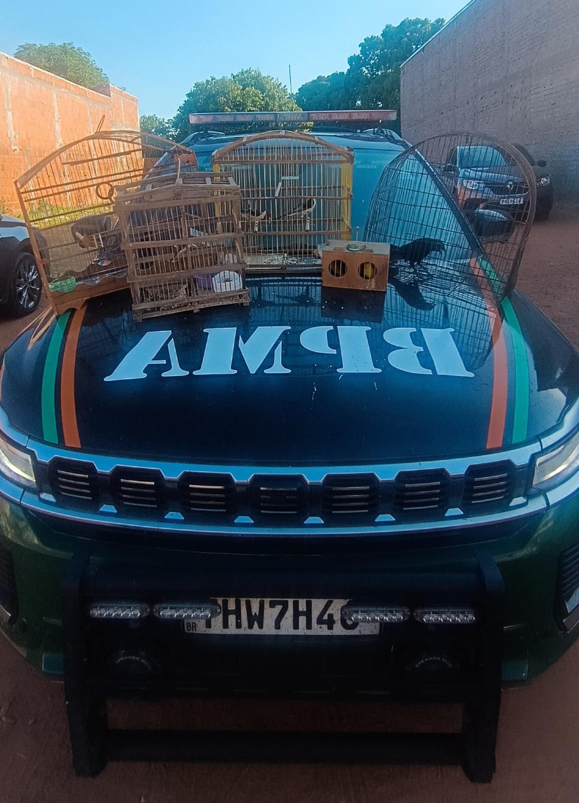 PMCE resgata aves silvestres e homem é autuado por crime ambiental em Ipu